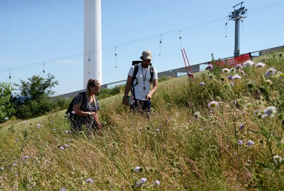 Kortlægning Af Biodiversitet Bynaturapp Presse