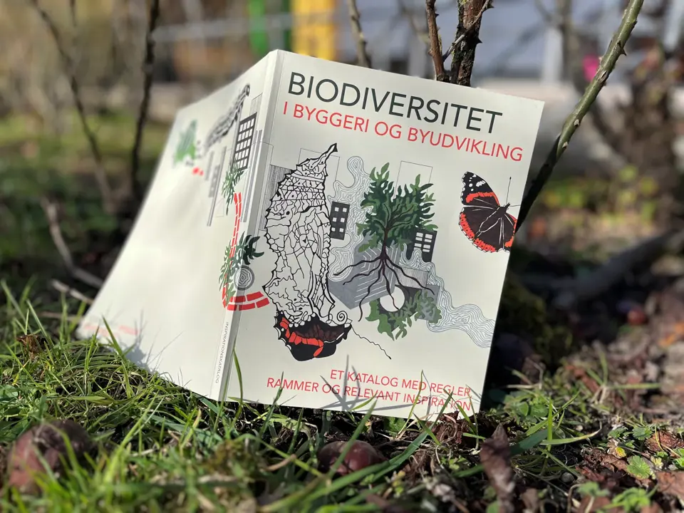 Biodiversitet I Byggeri Udvikling Katalog