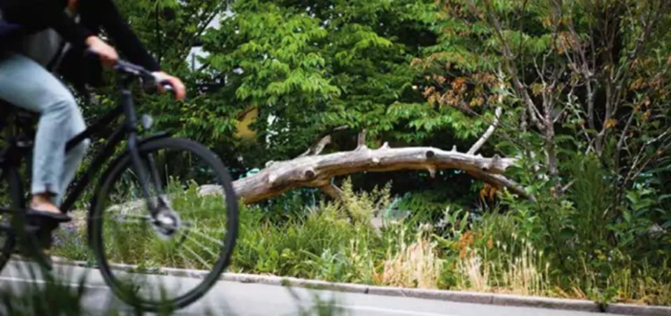 Kortlægning Af Naturarealer Bynatur Biodiversitet Cykel Presse